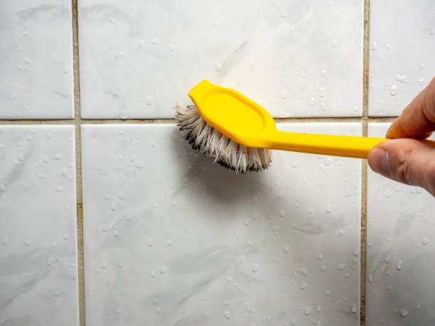 Best Mold Testing and Inspection Services in Lordsburg, NM